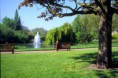 /album/fotogalerie/a31-06-6-web-jpg/
