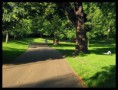 /album/fotogalerie/england-london-greenpark-jpg/